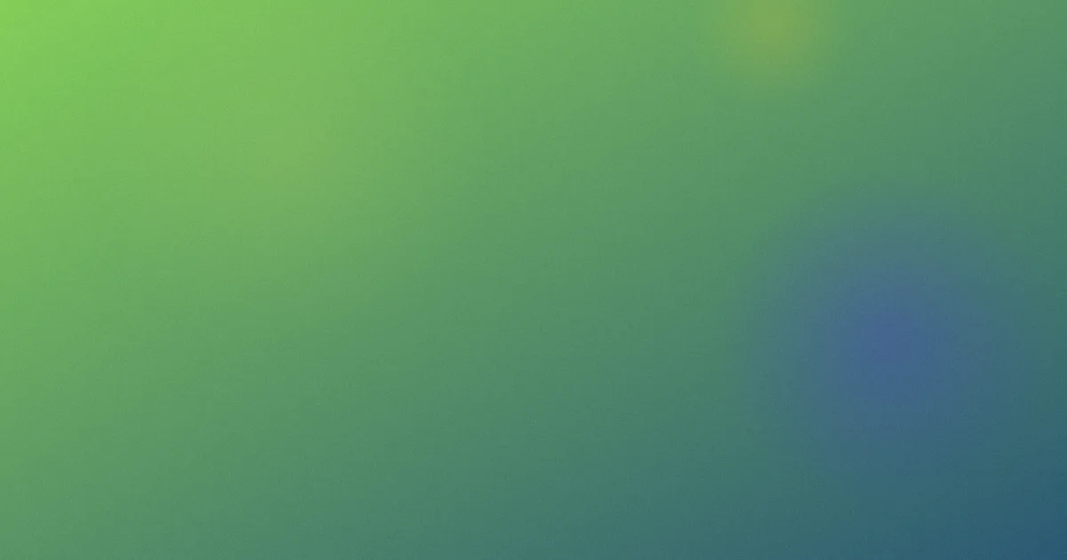 路宏怎么用：追剧实测法